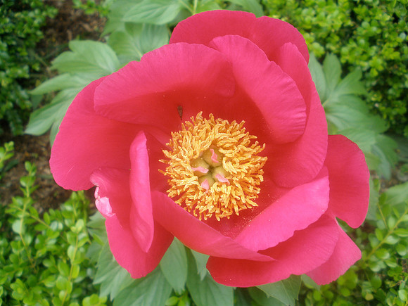 P5210241