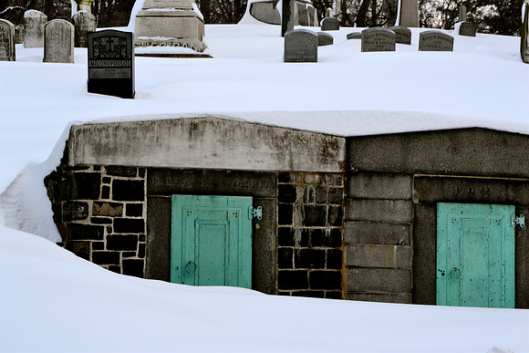 DSC_0103