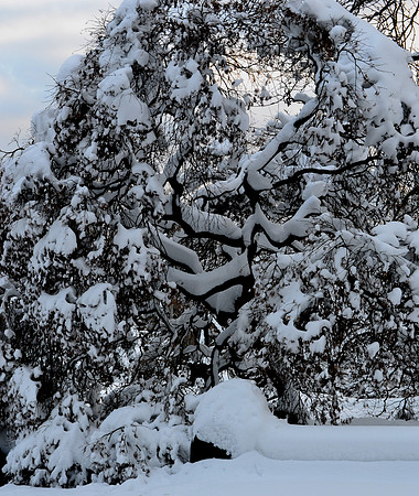 DSC_0123