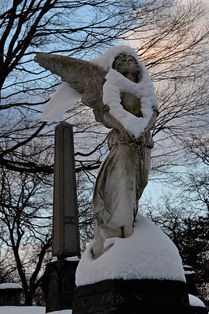 SNOW ANGEL