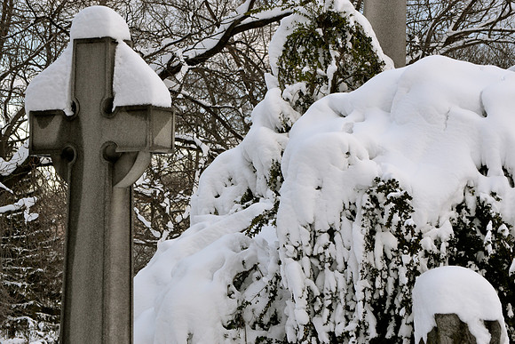 DSC_0141