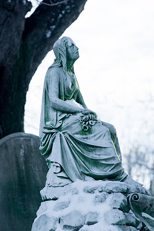 Winter Wonder Cemetary 3-38