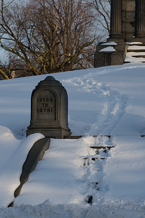 Winter Wonder Cemetary 3-40