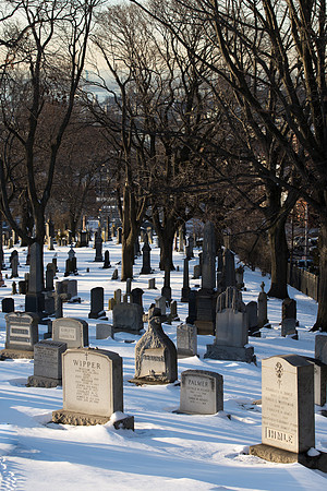 Winter Wonder Cemetary 3-43