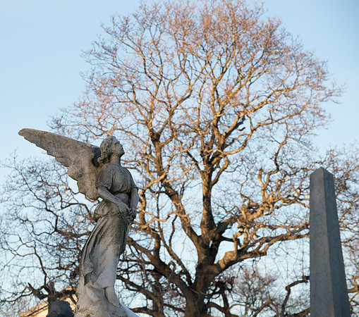 Winter Wonder Cemetary 3-49