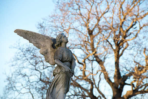 Winter Wonder Cemetary 3-50