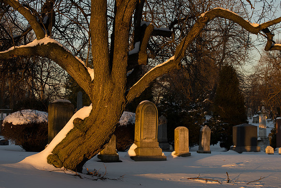 Winter Wonder Cemetary 3-112